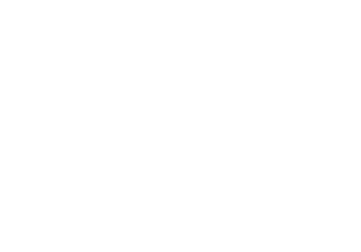 DRAFTANDWIN Logo